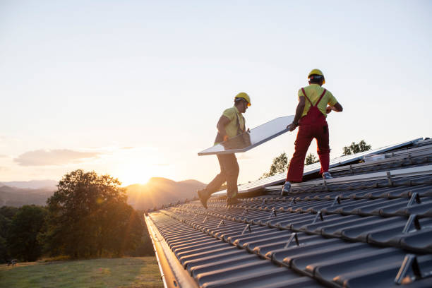 Best Roof Moss and Algae Removal  in USA